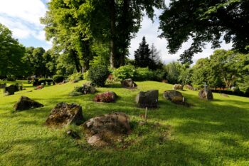 Framhevet bilde
