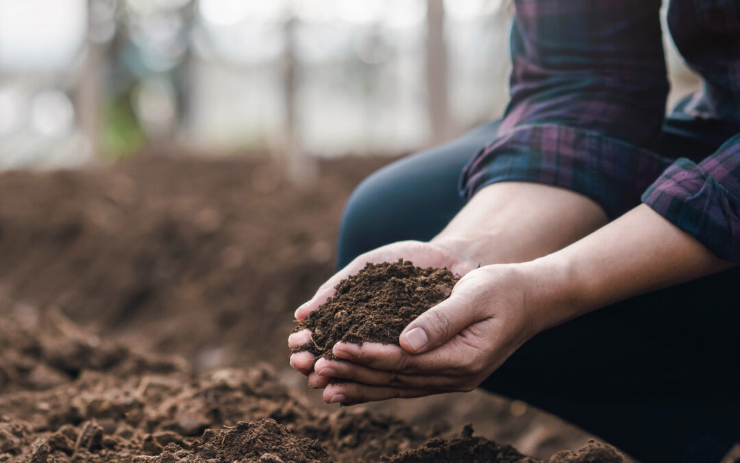 Gravferdsbransjens viktigste trender