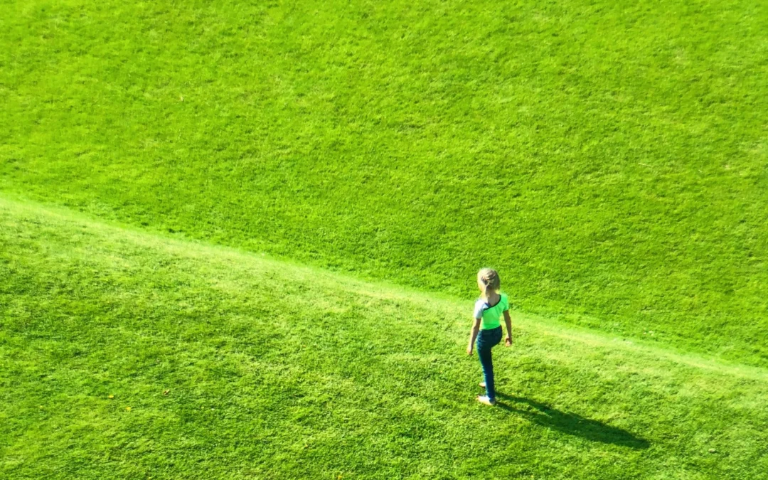 Grav24 – Positivt svar fra departementet