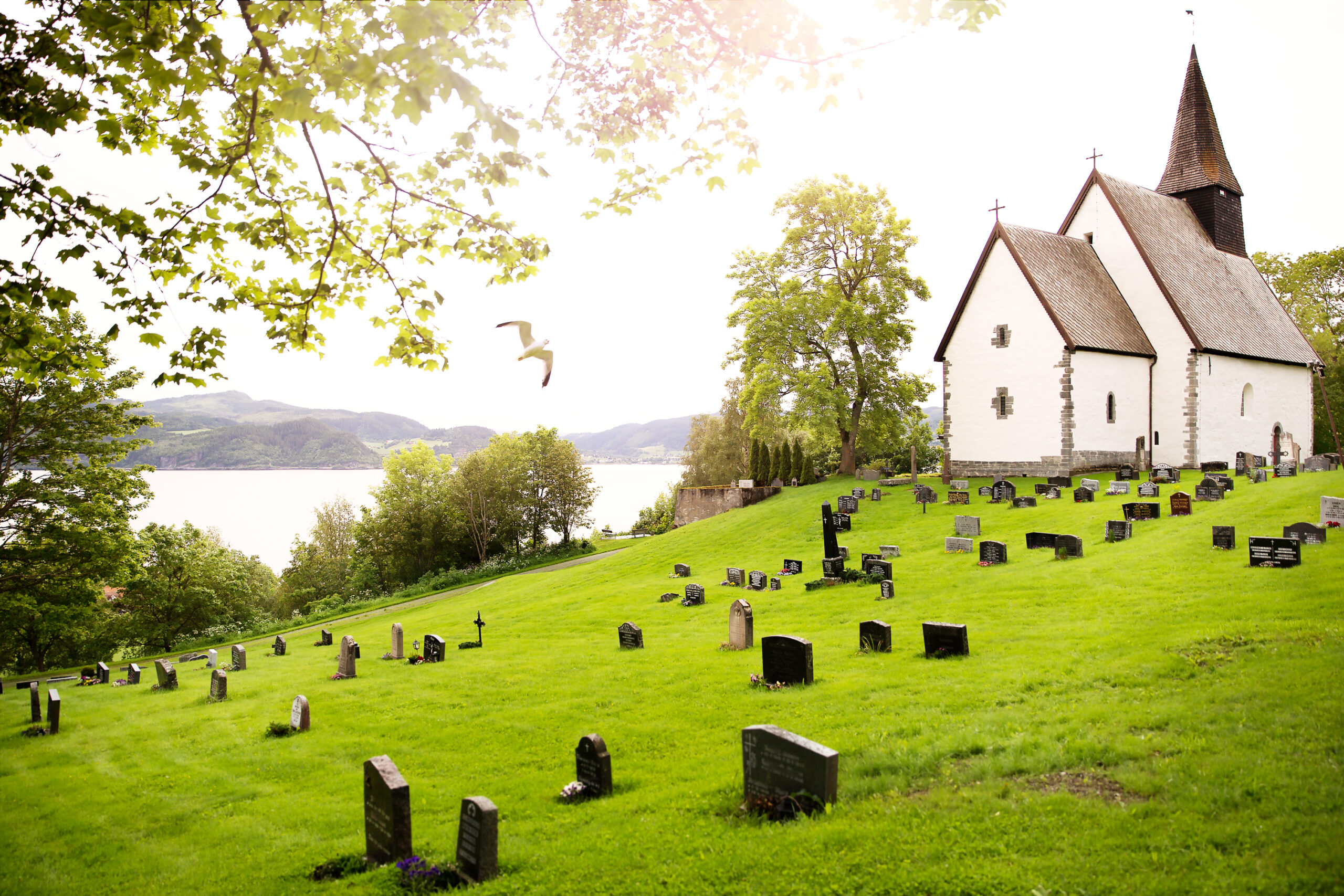 Kirkegård i Trondheim med graver som skal behandles med kalk